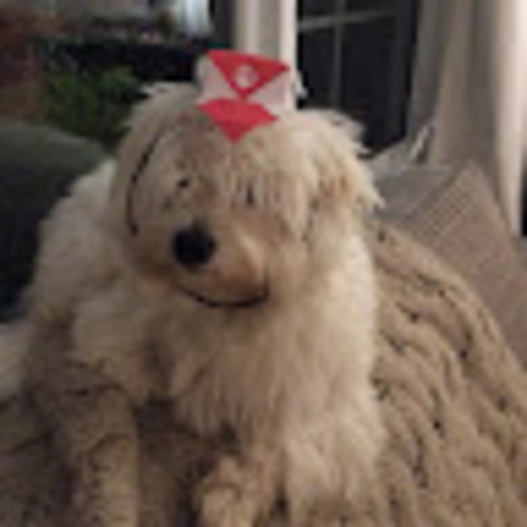 Meet your Posher, Rich - Picture 1 of 1